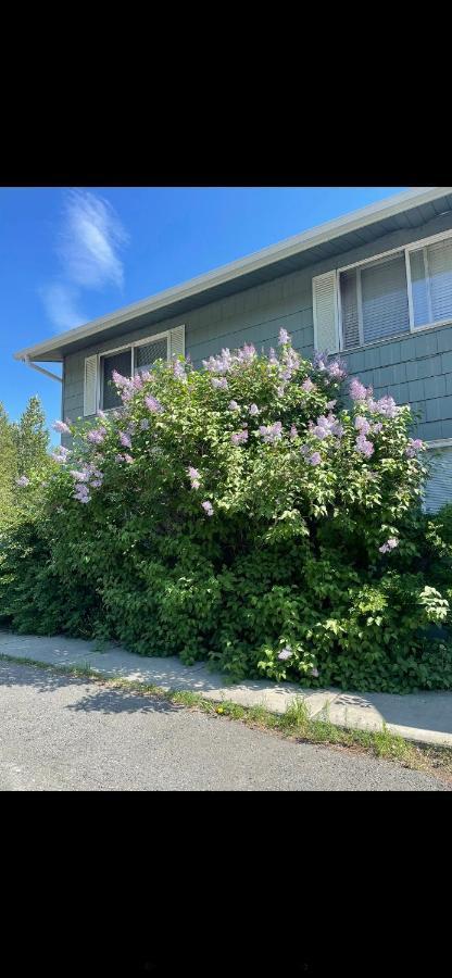 Lovely Two Bedroom, Minutes Away From Downtown アンカレッジ エクステリア 写真